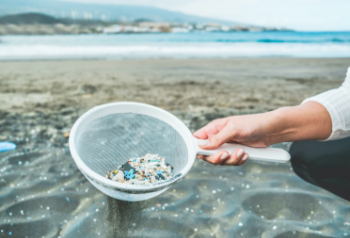 Mikroplastik im Sieb