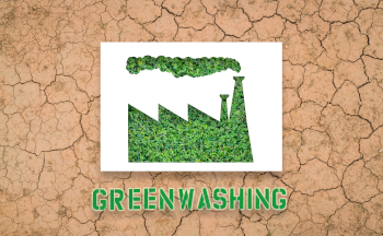 Greenwashing nachhaltige Investments